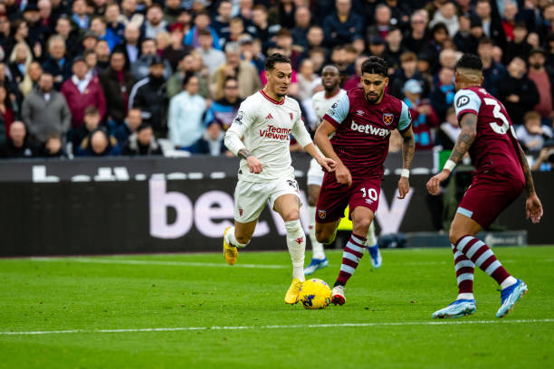 大对阵卡利 大对阵卡利